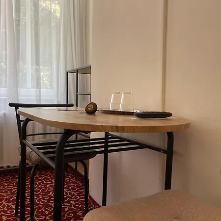 罗马尼亚酒店 3* 卡罗维发利